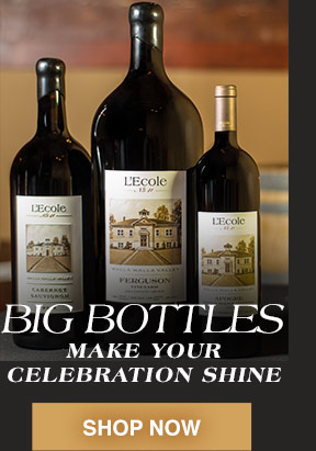 Big Bottles - Make your celebration shine