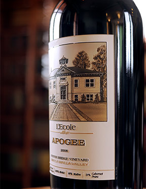 Apogee Etched Bottle