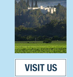 Visit Us