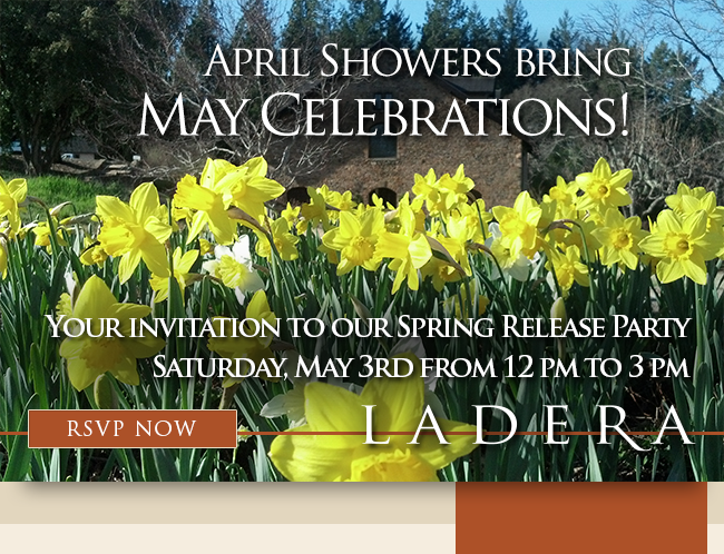 April Showers Bring May Celebrations!