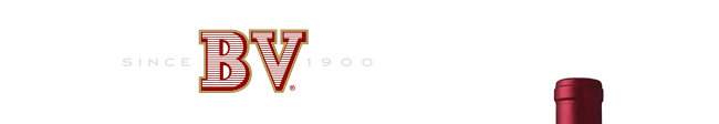 BV Since 1900