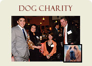 Dog Charity