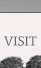 Visit