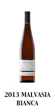 2013 Malvasia Bianca