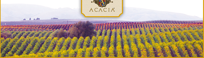 Acacia